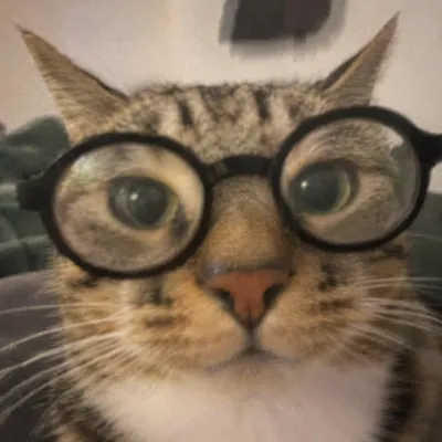 煎鱼
